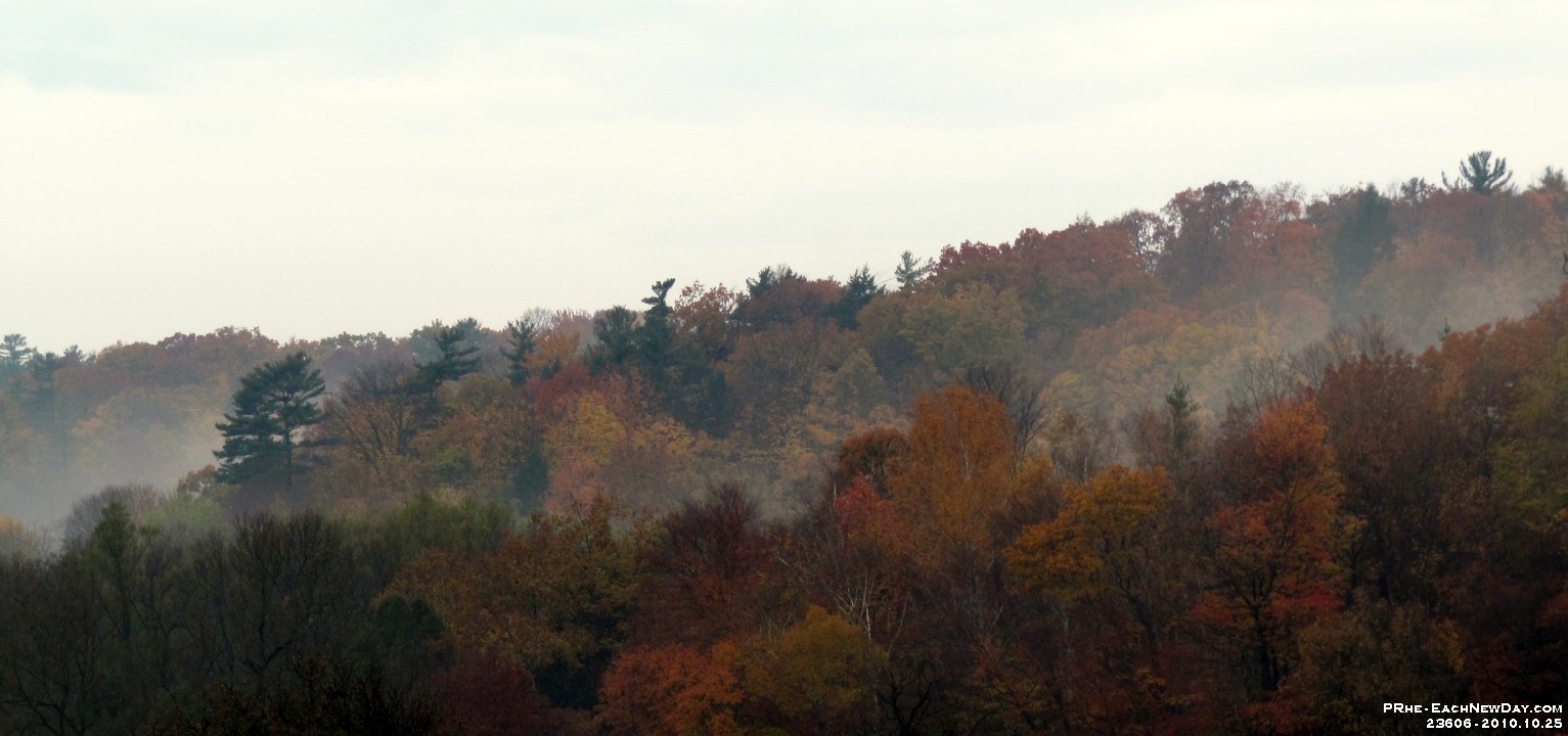 23606CrLe - Mist, Kingston Road over the Rouge River